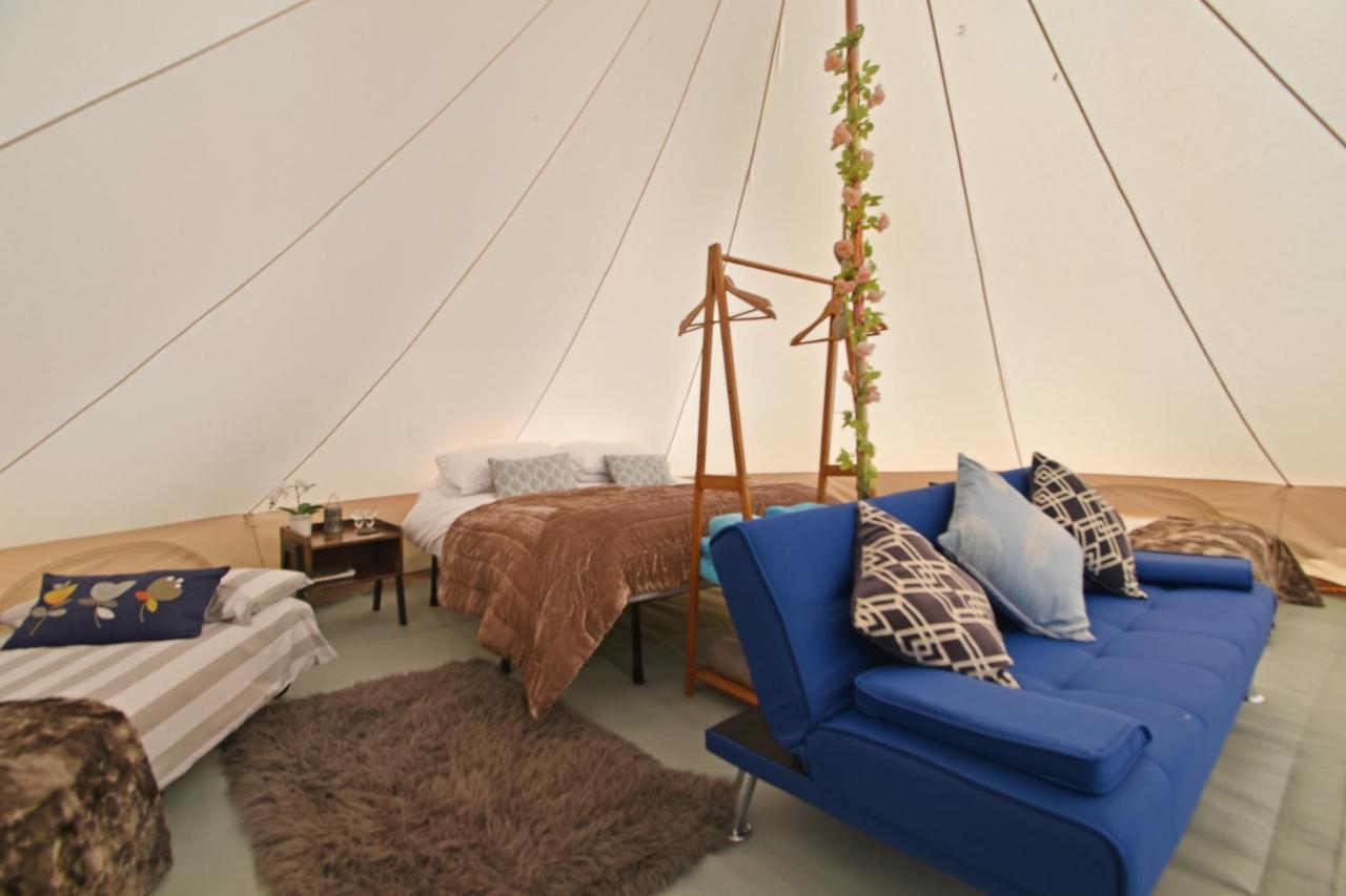 Quex Livery Glamping بيرتشينغتون المظهر الخارجي الصورة